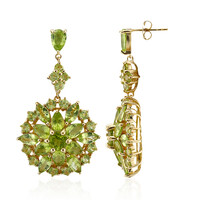 Burmese Peridot Silver Earrings