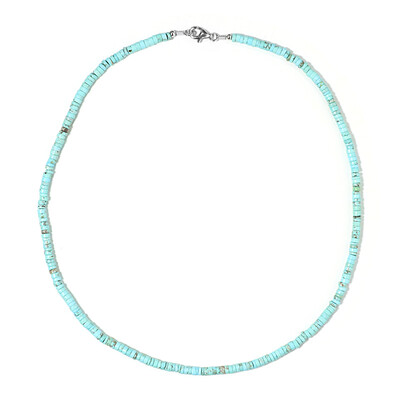 Blue Magnesite Silver Necklace