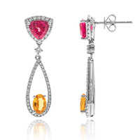 14K Burmese Spinel Gold Earrings (CIRARI)