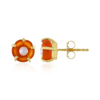 Carnelian Silver Earrings