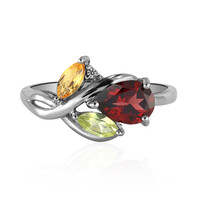 Mozambique Garnet Silver Ring