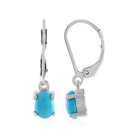 Arizona Turquoise Silver Earrings