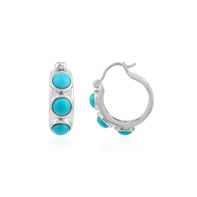 Sleeping Beauty Turquoise Silver Earrings