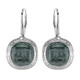Fuchsite Silver Earrings (dagen)