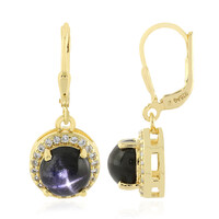 Indian star diopside Silver Earrings