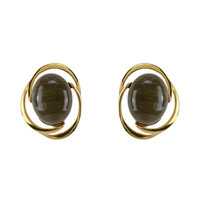 Petrified Wood Silver Earrings