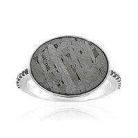 Aletai-Meteorite Silver Ring