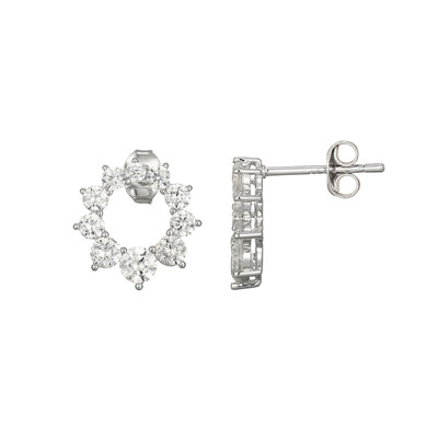 Zircon Silver Earrings (Adela Silber)