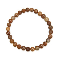 Petrified Wood Bracelet