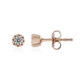 Zircon Silver Earrings (Adela Silber)