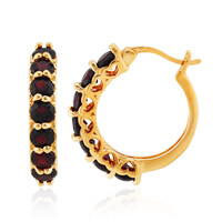 Garnet Silver Earrings