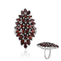 Mozambique Garnet Silver Ring