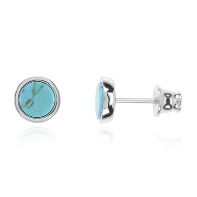 Turquoise Silver Earrings (dagen)