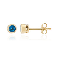 9K Neon Blue Apatite Gold Earrings