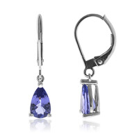 10K Tanzanite Gold Earrings
