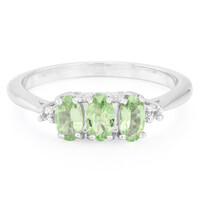 Merelani Mint Garnet Silver Ring