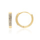 Zircon Silver Earrings