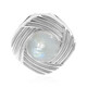 Rainbow Moonstone Silver Pendant (MONOSONO COLLECTION)