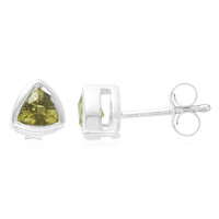 Fancy Tourmaline Silver Earrings
