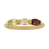Garnet Silver Ring