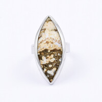 Ocean Jasper Silver Ring