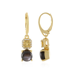 Black Star Sapphire Silver Earrings