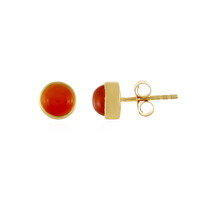 Carnelian Silver Earrings