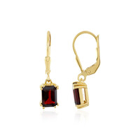 Mozambique Garnet Silver Earrings