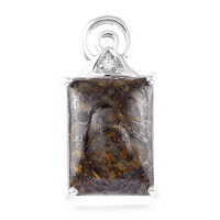 Dinosaur Bone Silver Pendant