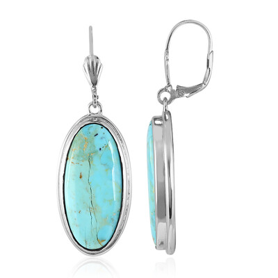 Kingman Blue Mojave Turquoise Silver Earrings