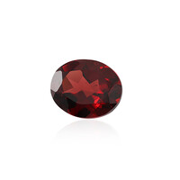 Mozambique Garnet other gemstone 3,373 ct