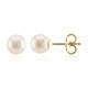 Akoya Pearl Silver Earrings (TPC)