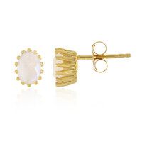 Rainbow Moonstone Silver Earrings