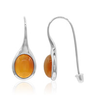 Carnelian Silver Earrings