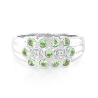 Merelani Mint Garnet Silver Ring