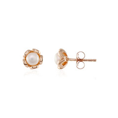 Freshwater pearl Silver Earrings