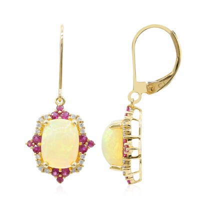 14K AAA Welo Opal Gold Earrings (CIRARI)
