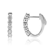 14K SI2 (H) Diamond Gold Earrings (CIRARI)