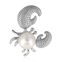 Freshwater pearl Silver Pendant (TPC)