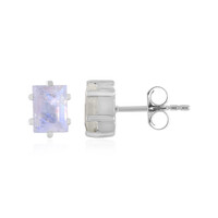 Rainbow Moonstone Silver Earrings