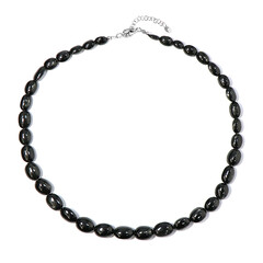 Indian star diopside Silver Necklace