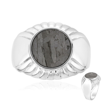 Aletai-Meteorite Silver Ring
