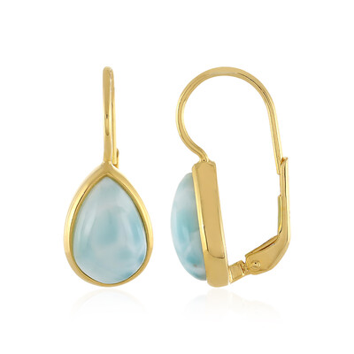 Larimar Silver Earrings (MONOSONO COLLECTION)