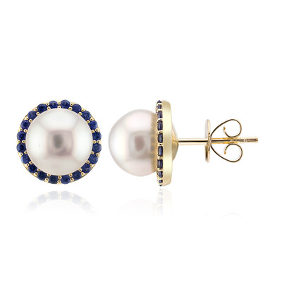 9K White South Sea Pearl Gold Earrings (Michelle Albala)