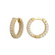 Zircon Silver Earrings