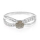 Romanian Spectrolite Silver Ring