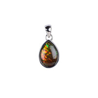 Ammolite Silver Pendant