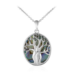 Abalone Shell Silver Necklace