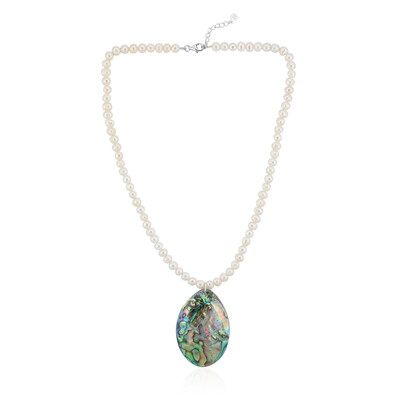 Abalone Shell Silver Necklace (TPC)