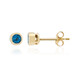 9K Neon Blue Apatite Gold Earrings